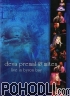 Deva Premal & Miten - Live in Byron Bay (DVD)