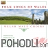 Welsh Male Choir - Folk Songs of Wales (CD)