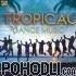 Various Artists - 20 Best of Tropical Dance Music (CD)