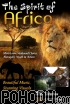 Various Artists - The Spirit of Africa (DVD)